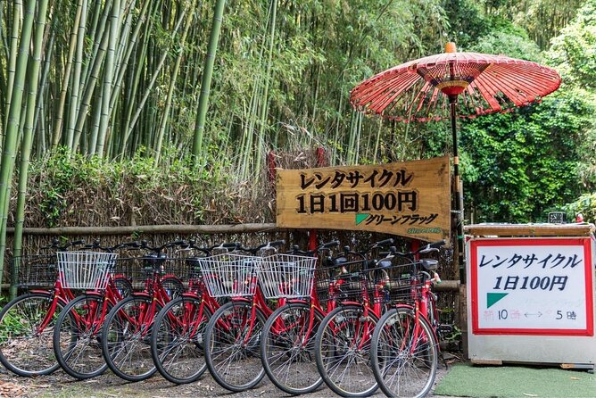 Arashiyama from Kyoto: Private & Personalized with a Local Guide - Gio-ji, Daikaku-ji, and choosing four temples