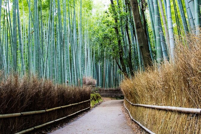 Arashiyama from Kyoto: Private & Personalized with a Local Guide - Tenryu-ji and the art of the garden