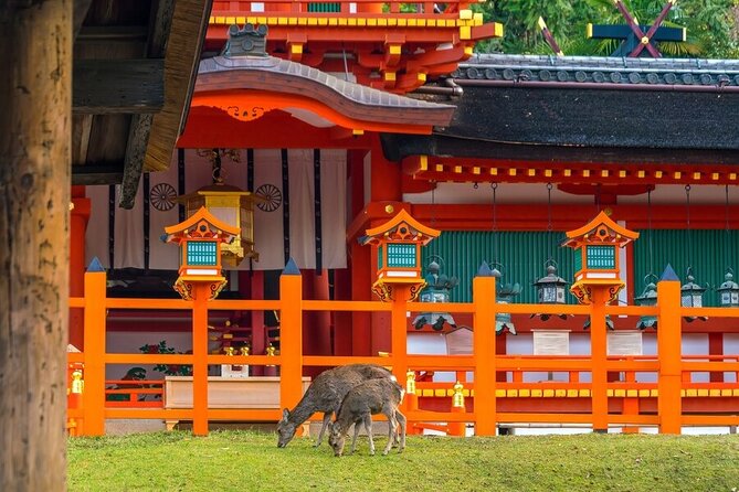 Arashiyama & Nara Highlights: One-Day Private Tour Adventure - Todai-ji and the Great Buddha Hall