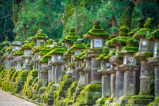 Arashiyama & Nara Highlights: One-Day Private Tour Adventure - Kasuga Grand Shrine and its stone lanterns