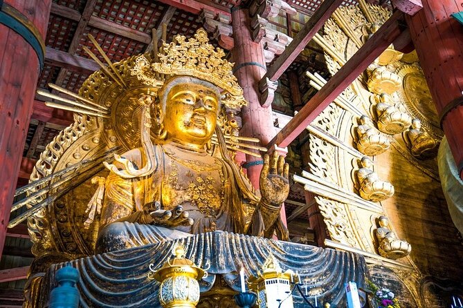 Arashiyama & Nara Highlights: One-Day Private Tour Adventure - What the private guide adds
