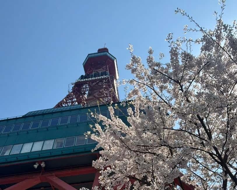 Authentic Sapporo: Nijo Market Seafood Lunch & History Tour - Booking details worth knowing