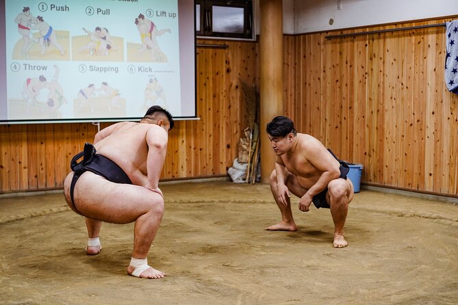Authentic Sumo Experience in Tokyo: Enter the Sanctuary - Watching morning practice from the front