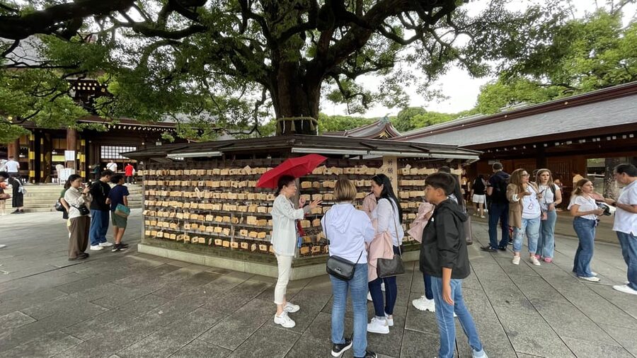 Awesome Private Tour: Tsukiji, Asakusa, Shinjuku, Shibuya - Akihabara and Ueno suit different interests
