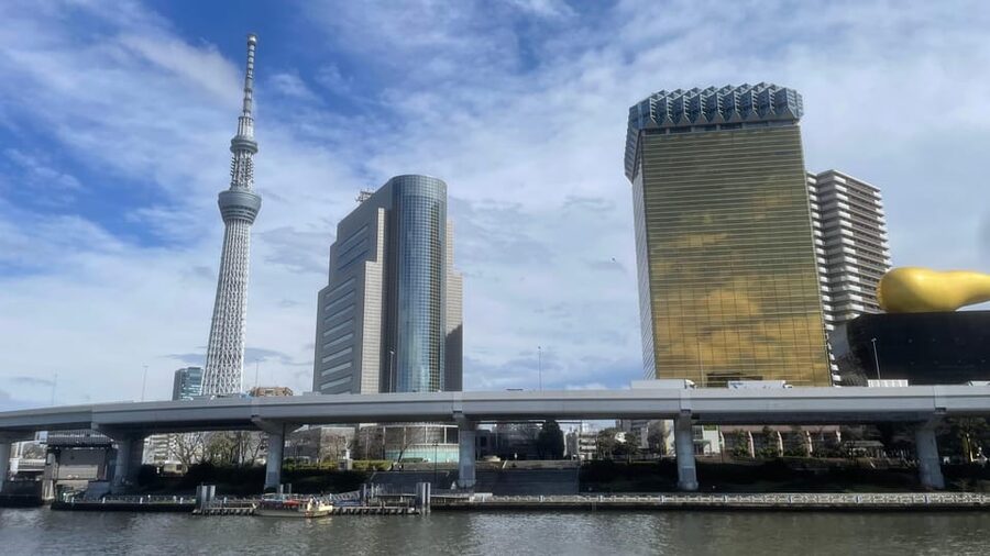 Awesome Private Tour: Tsukiji, Asakusa, Shinjuku, Shibuya - Tsukiji starts the day with food and local advice