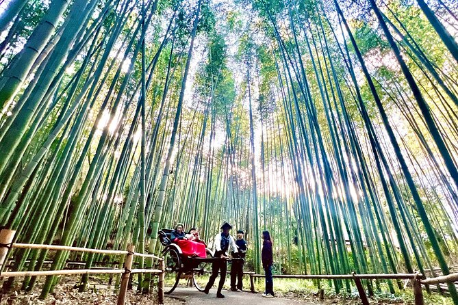 Bamboo Grove Temple and Garden Views Tour - Iwatayama Monkey Park and the uphill climb