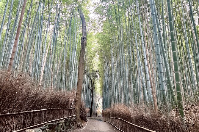 Bamboo Grove Temple and Garden Views Tour - Tenryuji Temple’s pond and Zen garden