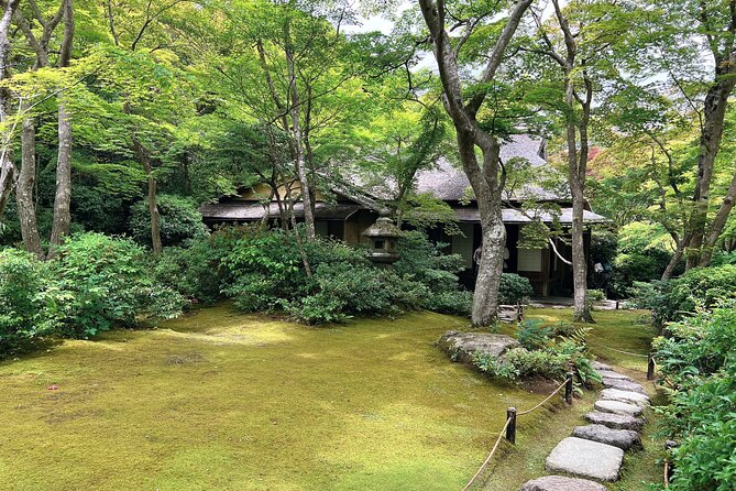 Bamboo Grove Temple and Garden Views Tour - The bamboo grove, with realistic expectations