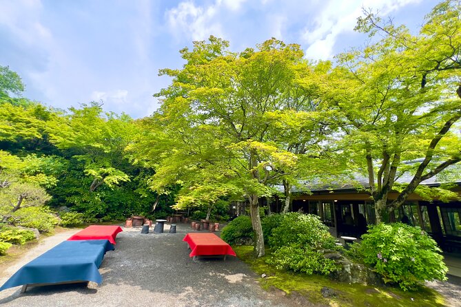 Bamboo Grove Temple and Garden Views Tour - Okochi Sanso Garden and the best views of the day