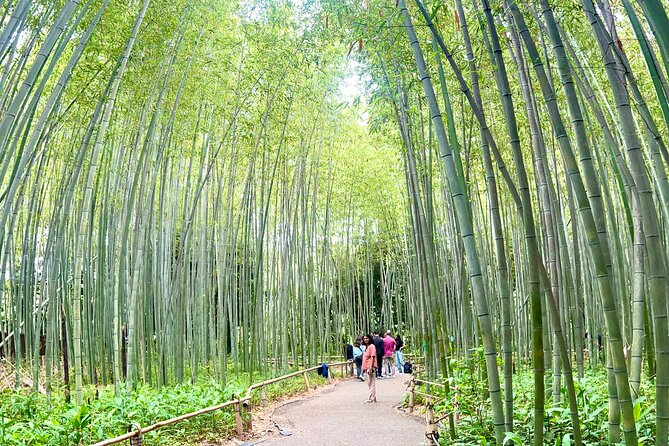 Bamboo Grove Temple and Garden Views Tour - Kimono Forest and the first look at Arashiyama