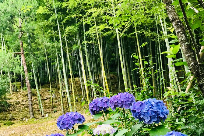Bamboo LED Lantern Making Experience in Kyoto Arashiyama - Tea, conversation, and the human side of the class