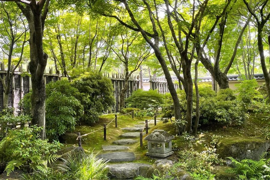 Best of Himeji Castle: 3hr Tour with Licensed Guide - Koko-en Garden Adds a Quieter Second Act