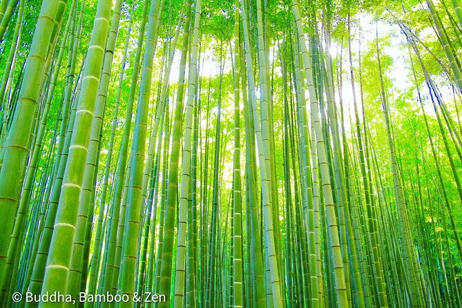 Buddha, Bamboo & Zen - Bespoke Kamakura Private Walking Tours - Why Kamakura makes a fine break from Tokyo