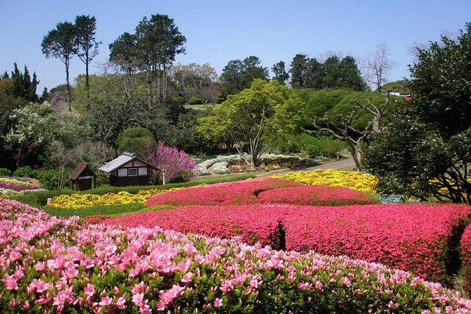 Colors of Japan, Fukuoka Nokonoshima Island Park & Wagyu BBQ - Leaving Fukuoka for Nokonoshima Island