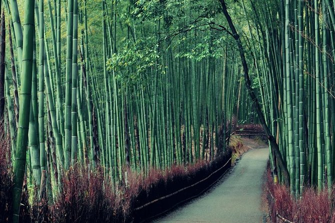 Cruise Stop-Over: Private Custom Day trip to Kyoto from Kobe Port - Why this private Kyoto day works from a cruise ship