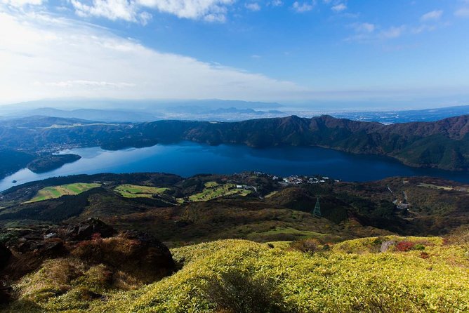 Custom Private Tour in Hakone with a Certified Local Guide - A drink at a 400-year-old tea house