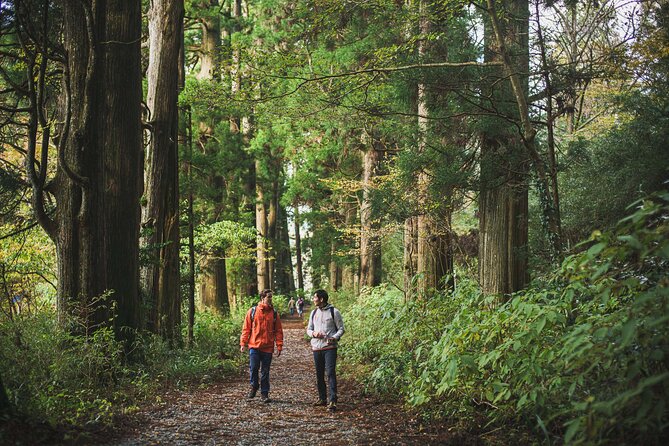 Custom Private Tour in Hakone with a Certified Local Guide - Owakudani and the Hakone Ropeway