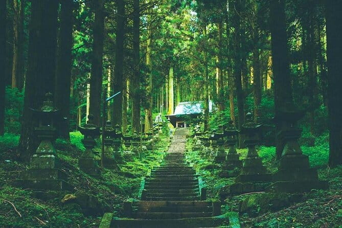 Day Tour to Miyazaki Takachiho Gorge & Shrine depart from Fukuoka - Kamishikimi Kumanoimasu Shrine and its cedar forest