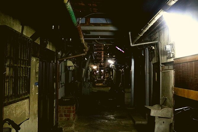 Deep Backstreet Osaka Tours (Option to add Dinner) - Starting near Daikokucho Station at 5:30 pm