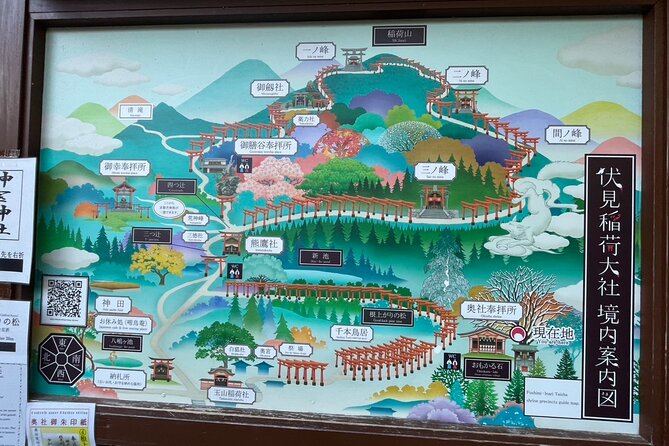 Discover Kyoto by Bike Full Day Tour - Why this bike tour shows you more of Kyoto