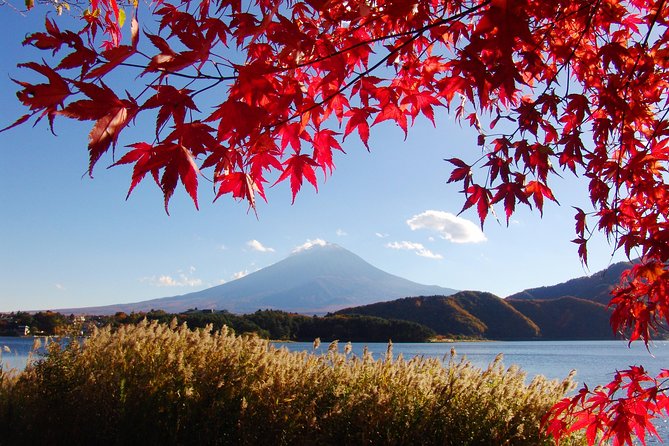 Discover Mt. Fuji 5th Station & Kawaguchiko Sightseeing Day Tour - Leaving Tokyo for the mountain