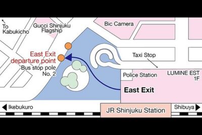 Dynamic Tokyo: Tokyo Tower, Tea Experience, Bay Cruise Day Tour