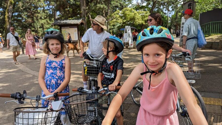 E-Bike Nara Highlights - Todaiji, Knives, Deer, Shrine - Key points to know before booking