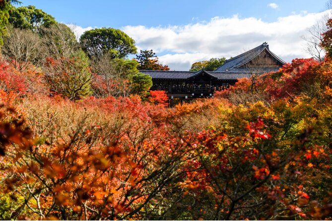 Early Bird E-biking through East Kyoto - The Philosopher’s Path at a slower pace