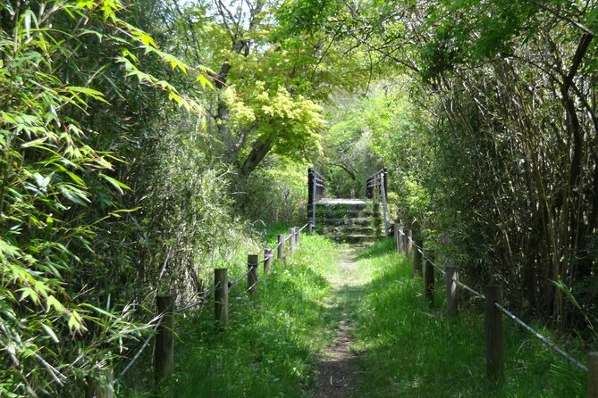 Easygoing Nature Walk in Hakone Tour - Key points before you book