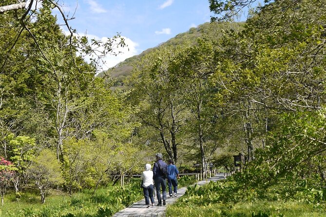 Easygoing Nature Walk in Hakone Tour - What Yoshi adds to the walk