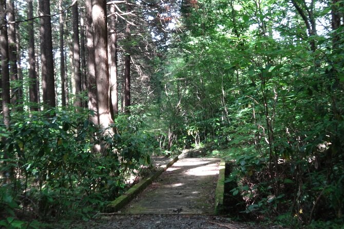 Easygoing Nature Walk in Hakone Tour - Price, group size, and what you receive