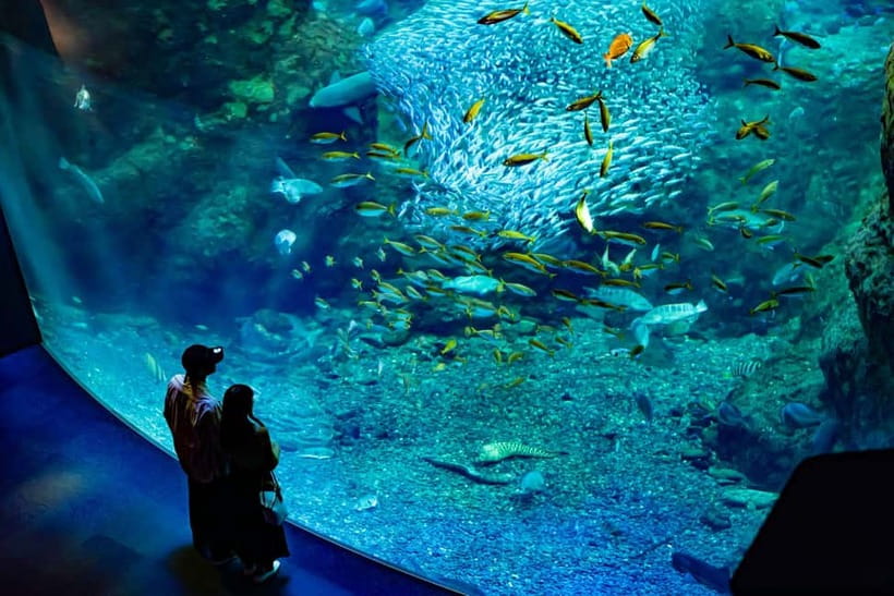 Enoshima Aquarium: Admission Ticket - Start with Sagami Bay near Enoshima