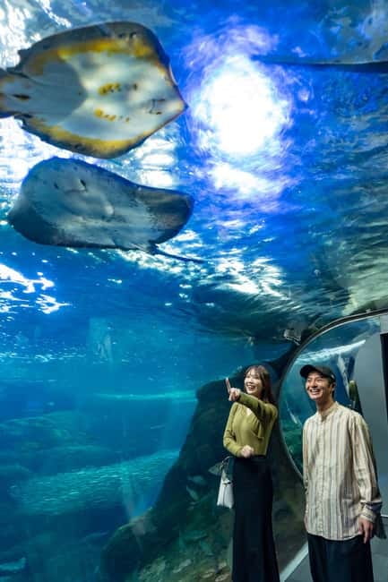 Enoshima Aquarium: Admission Ticket - Follow the exhibits toward the open Pacific