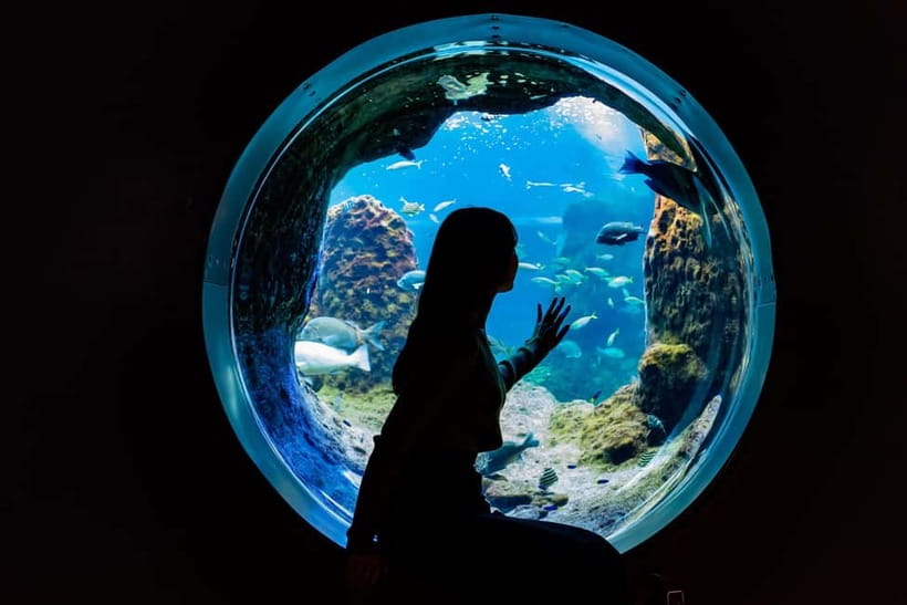 Enoshima Aquarium: Admission Ticket - See lower-depth sea creatures and marine life
