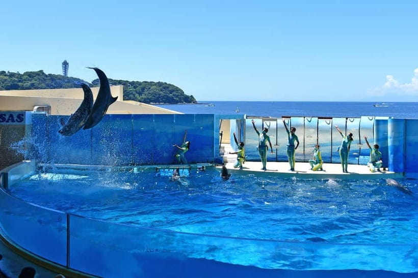 Enoshima Aquarium: Admission Ticket - Give the jellyfish area extra time