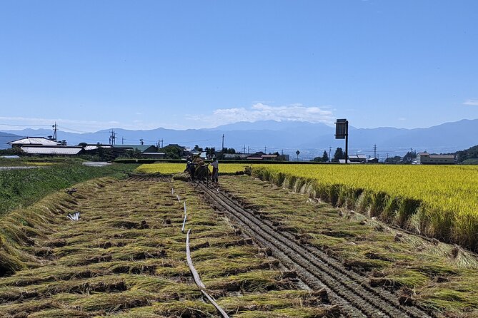 eTour de Matsumoto - Electric Bike Tour - Following the Susuki-gawa River into farm country