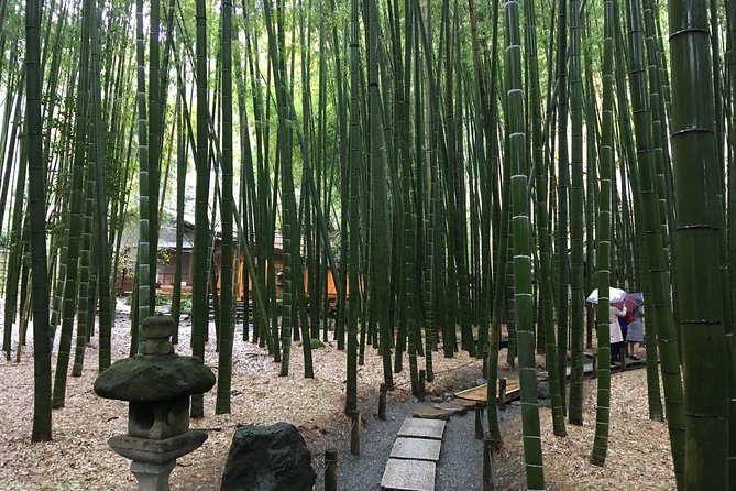 Exciting Kamakura - One Day Tour from Tokyo - Hokokuji and its compact bamboo grove