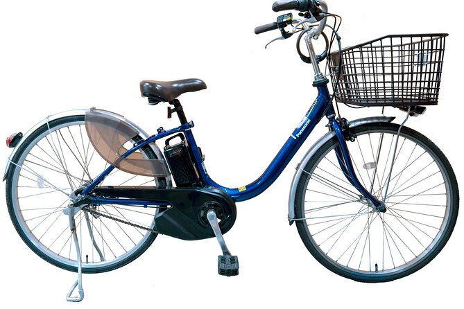 Explore Hidden Alleyway with a Local Expert (Morning tour) - Kyoto Imperial Palace by bicycle