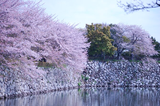 Explore Himeji Castle a Guided Walking Tour - Stories beyond the guidebook