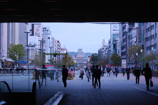 Explore Himeji Castle a Guided Walking Tour - Timing, group size, and physical demands