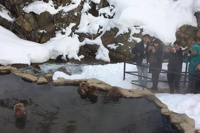 Explore Jigokudani Snow Monkey Park with a Local Guide - What the $112.01 price really covers