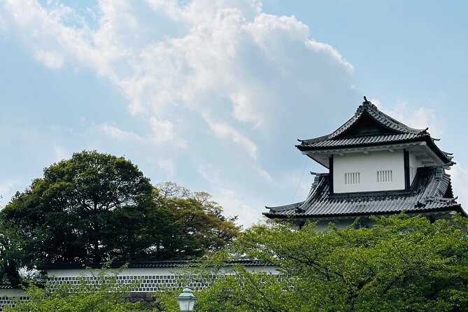 Explore Kanazawa Half Day Private Tour with Local Guide - Walking, buses, and the real cost
