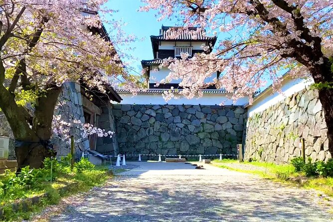 From Fukuoka Kyushu Itoshima Hidden Gems Day Tour - Raizan Sennyoji Daihiōin and its remarkable statues