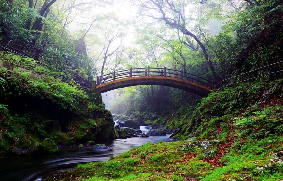 From Fukuoka: Miyazaki, Takachiho Gorge and Shrines Day Tour - Why this Kyushu day trip works