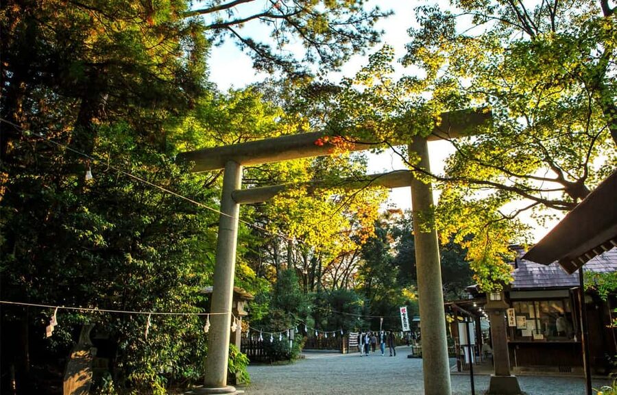 From Fukuoka: Miyazaki, Takachiho Gorge and Shrines Day Tour - Takachiho Gorge and the 17-meter Manai Waterfall