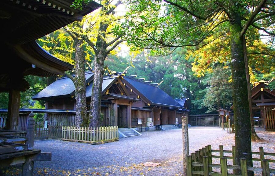 From Fukuoka: Miyazaki, Takachiho Gorge and Shrines Day Tour - What the bus ride is really like