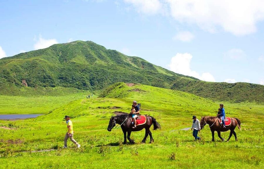 From Fukuoka: Mount Aso, Kurokawa Onsen, and Shrine Tour - Timing, weather, and the limits of a fixed route