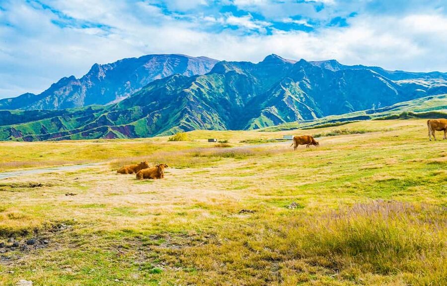 From Fukuoka: Mount Aso, Kurokawa Onsen, and Shrine Tour - Who will enjoy this day trip most