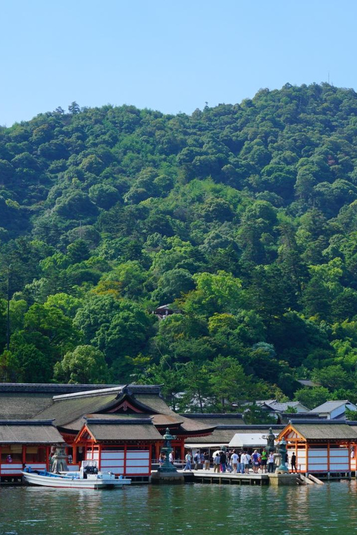 From Hiroshima: Miyajima Island Day Trip with Ropeway Ride - The summit walk is worth it for the right person