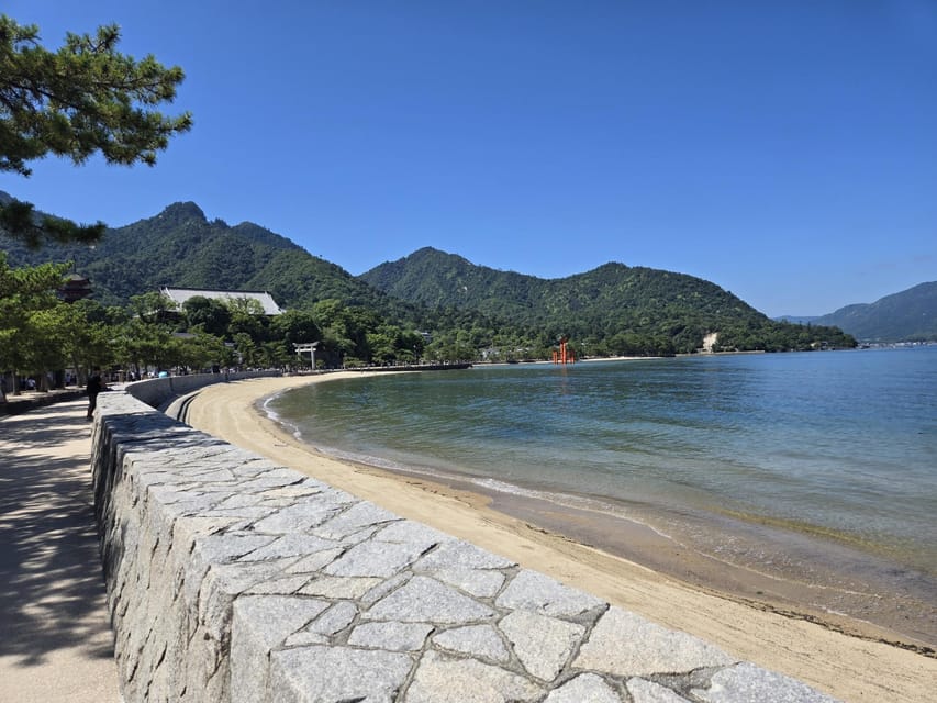 From Hiroshima: Miyajima Island Day Trip with Ropeway Ride - Guides add value beyond basic directions